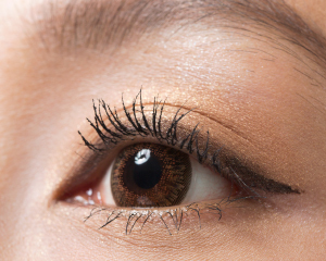 眼底疾患(糖尿病網膜症・黄斑変性・網膜剥離など)